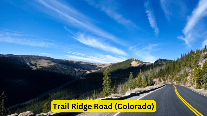 Trail Ridge Road (Colorado)