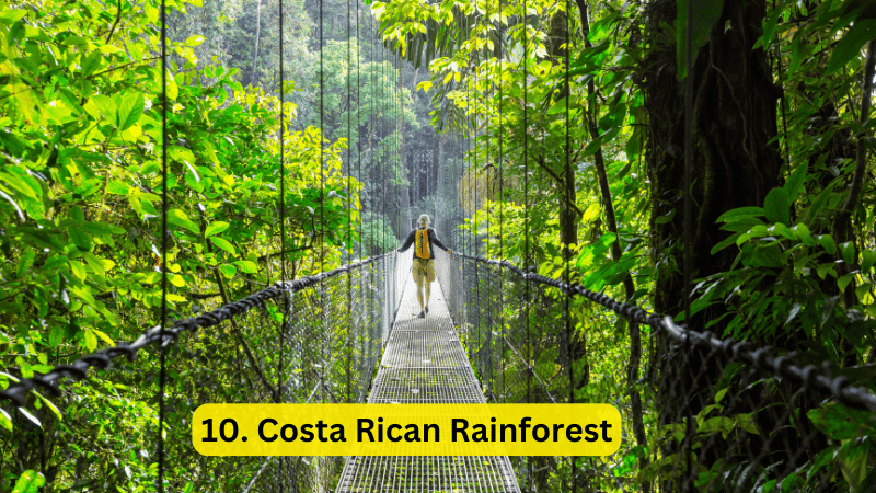 Family Adventure in Costa Rican Rainforest - Family Vacation Idea Destinations for Kids