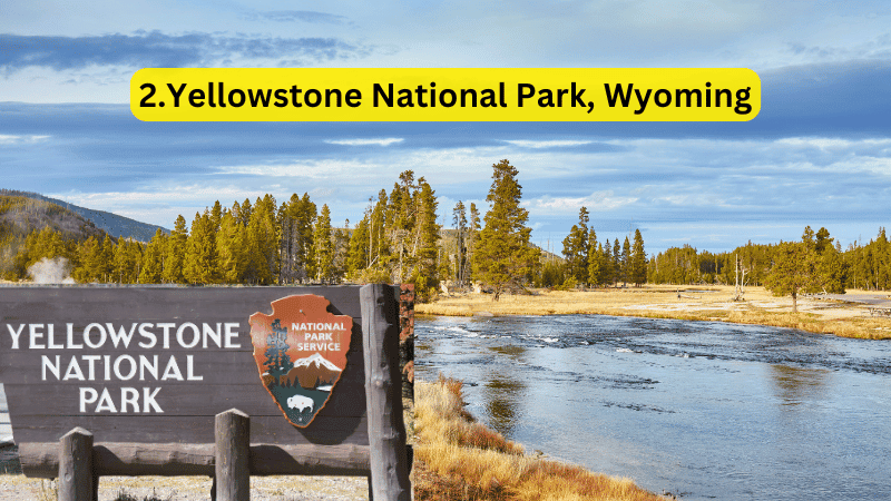 Geysers and Wildlife at Yellowstone National Park - Family Vacation Idea Destinations for Kids