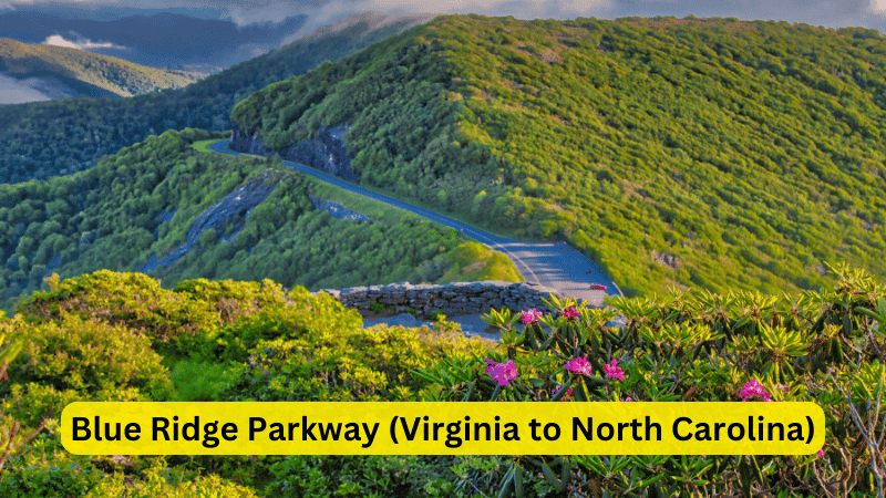Blue Ridge Parkway