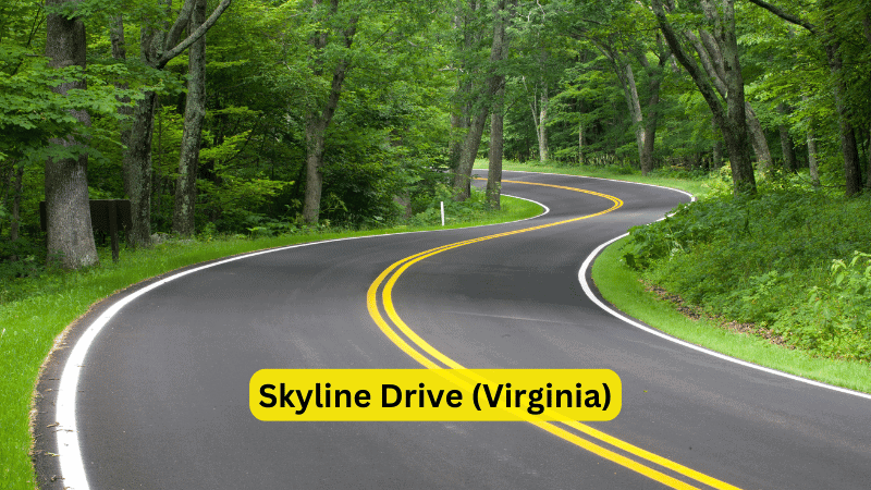 Skyline Drive (Virginia)
