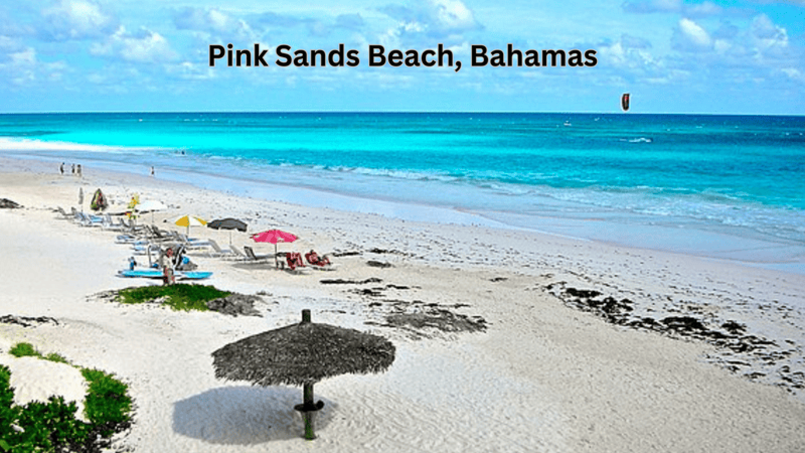 Pink Sands Beach in the Bahamas, showcasing its unique pink sand and clear waters.